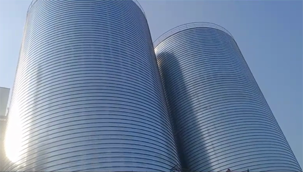 陆川2座混凝土高架卷板仓